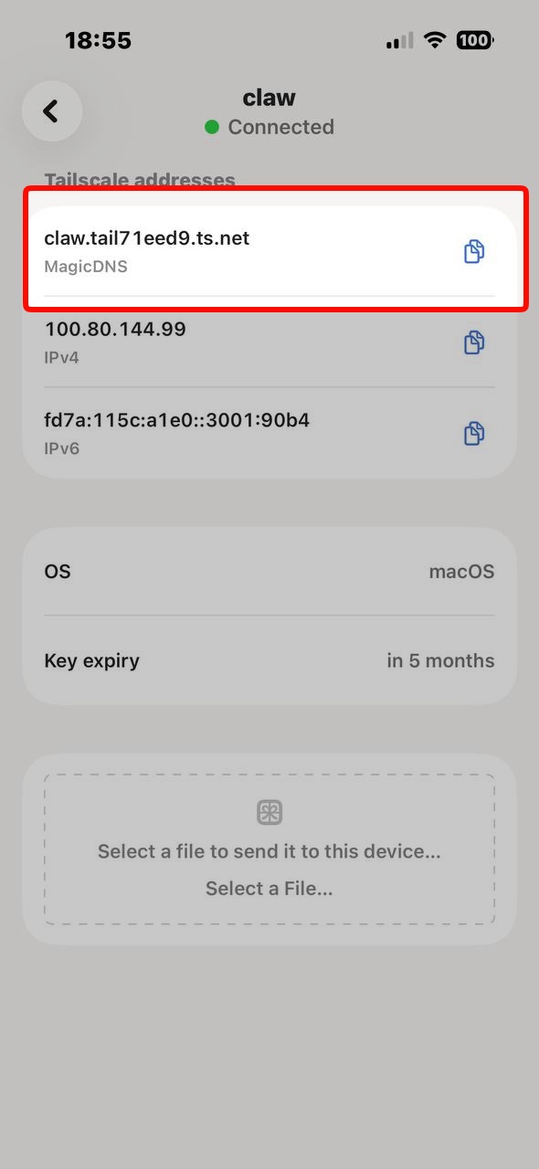 MagicDNS hostname in Tailscale